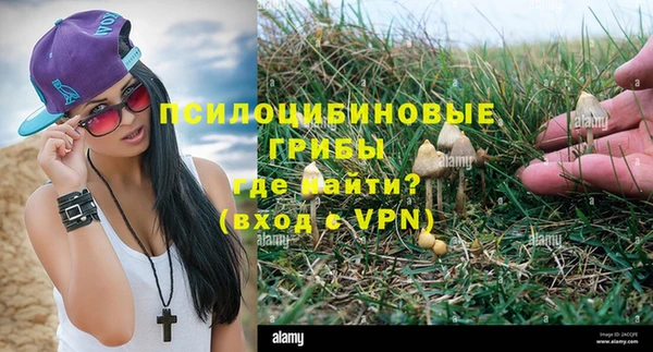 ПСИЛОЦИБИНОВЫЕ ГРИБЫ Елизово