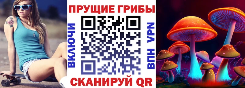 Псилоцибиновые грибы GOLDEN TEACHER  Сковородино 